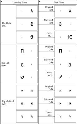 Compatibility Between Physical Stimulus Size – Spatial Position and False Recognitions